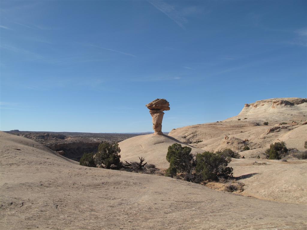 IMG_5553 (Large).JPG IMG_5553 (Large).JPG